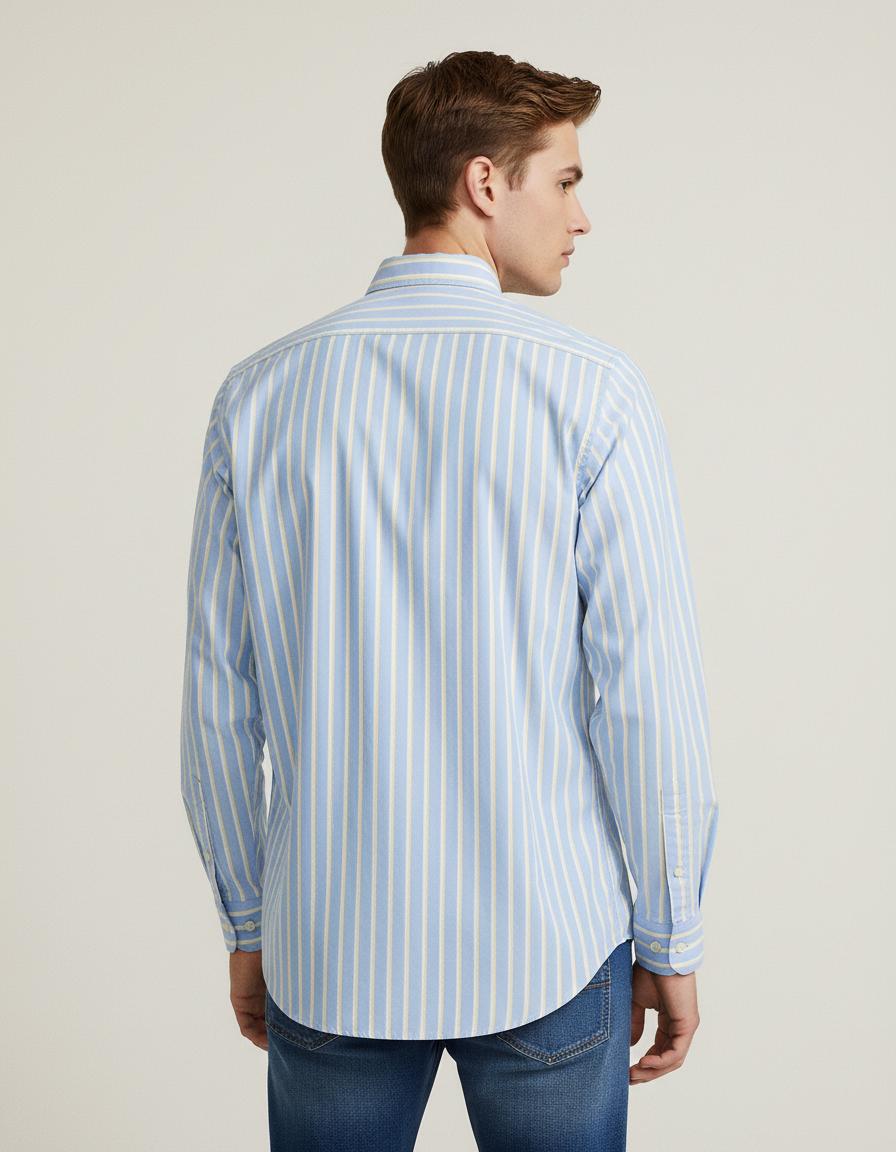 Polo Ralph Lauren Custom Fit Striped Shirt in Serene Sky Blue - back view